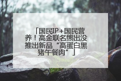 国民IP+国民营养！高金联名熊出没推出新品“高蛋白黑猪午餐肉”