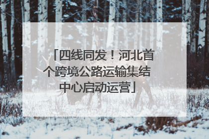 四线同发！河北首个跨境公路运输集结中心启动运营