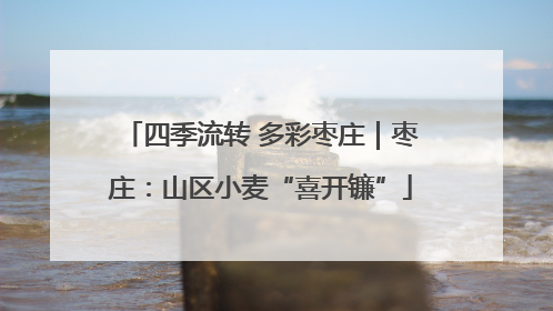 四季流转 多彩枣庄｜枣庄：山区小麦“喜开镰”