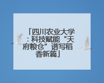 四川农业大学：科技赋能“天府粮仓”谱写稻香新篇