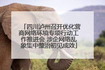 四川泸州召开优化营商网络环境专项行动工作推进会 涉企网络乱象集中整治初见成效