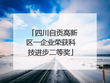 四川自贡高新区一企业荣获科技进步二等奖