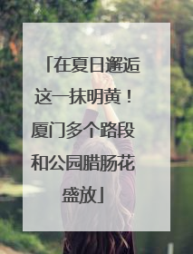 在夏日邂逅这一抹明黄！厦门多个路段和公园腊肠花盛放