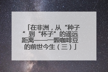 在非洲，从“种子”到“杯子”的遥远距离——一颗咖啡豆的前世今生（三）
