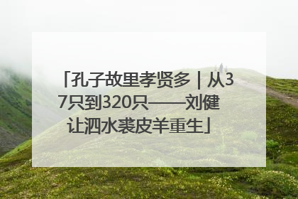 孔子故里孝贤多｜从37只到320只——刘健让泗水裘皮羊重生