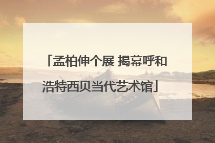 孟柏伸个展 揭幕呼和浩特西贝当代艺术馆