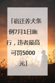 宿迁养犬条例7月1日施行，违者最高可罚5000元