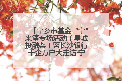 宁乡市基金“宁”来演专场活动（星城投融荟）暨长沙银行千企万户大走访·宁乡专场活动举行
