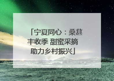 宁夏同心：桑葚丰收季 甜蜜采摘助力乡村振兴