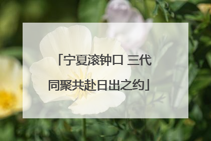 宁夏滚钟口 三代同聚共赴日出之约