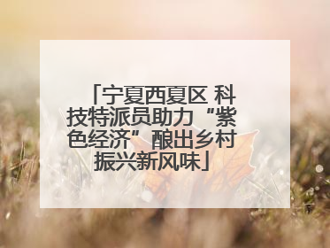 宁夏西夏区 科技特派员助力“紫色经济”酿出乡村振兴新风味