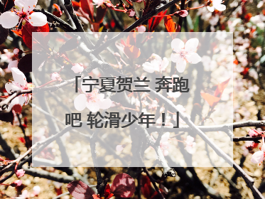宁夏贺兰 奔跑吧 轮滑少年！