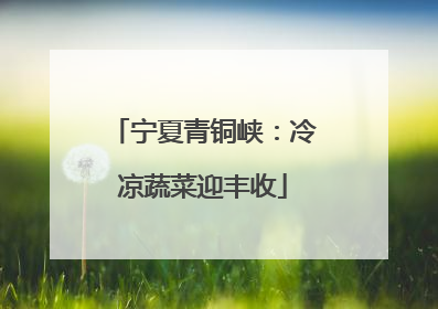 宁夏青铜峡：冷凉蔬菜迎丰收
