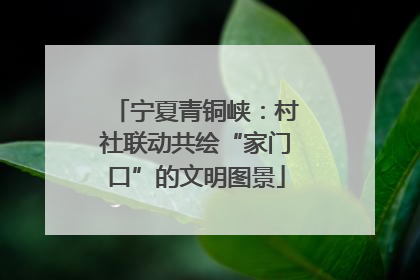 宁夏青铜峡：村社联动共绘“家门口”的文明图景