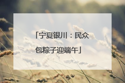 宁夏银川：民众包粽子迎端午