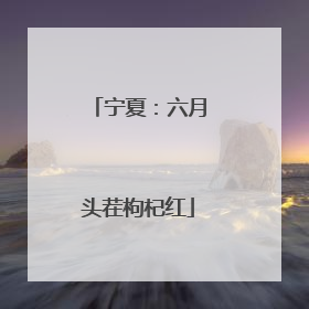 宁夏：六月头茬枸杞红