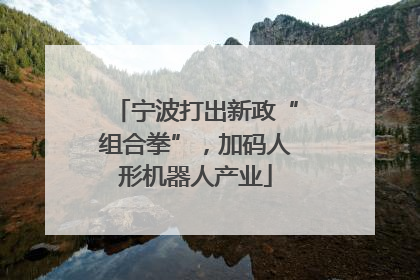 宁波打出新政“组合拳”，加码人形机器人产业