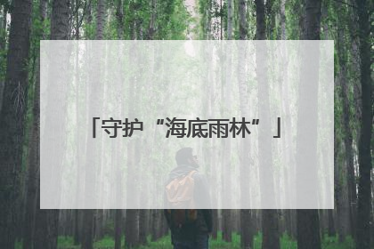 守护“海底雨林”