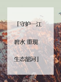 守护一江碧水 重现生态韶河