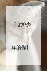 守护少年的你