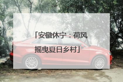 安徽休宁：荷风摇曳夏日乡村