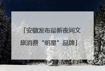 安徽发布最新夜间文旅消费“明星”品牌