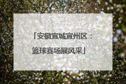 安徽宣城宣州区：篮球赛场展风采