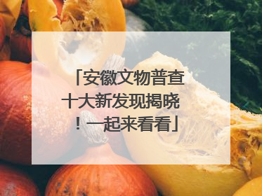 安徽文物普查十大新发现揭晓！一起来看看