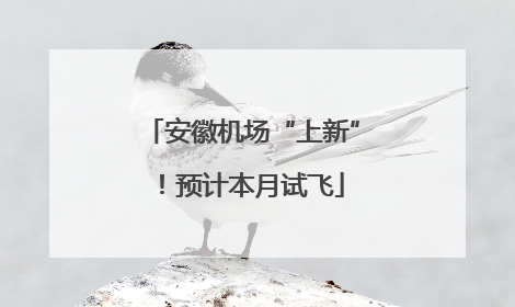 安徽机场“上新”！预计本月试飞