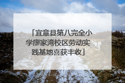宜章县第八完全小学廖家湾校区劳动实践基地喜获丰收