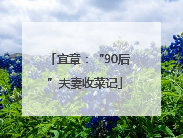 宜章：“90后”夫妻收菜记