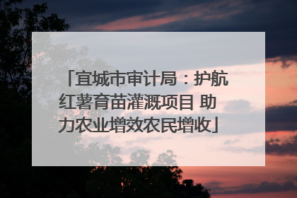 宜城市审计局：护航红薯育苗灌溉项目 助力农业增效农民增收