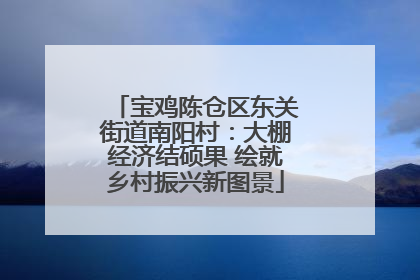 宝鸡陈仓区东关街道南阳村：大棚经济结硕果 绘就乡村振兴新图景