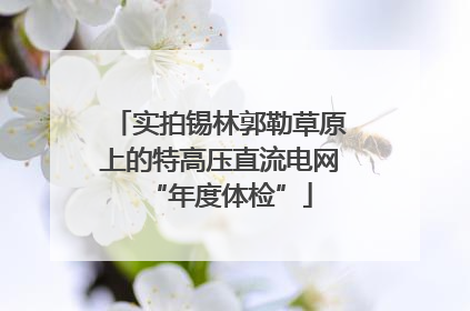 实拍锡林郭勒草原上的特高压直流电网“年度体检”