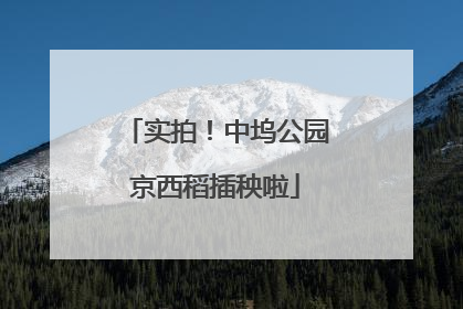 实拍！中坞公园京西稻插秧啦
