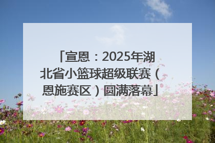 宣恩：2025年湖北省小篮球超级联赛（恩施赛区）圆满落幕