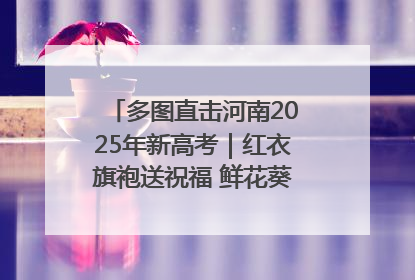 多图直击河南2025年新高考｜红衣旗袍送祝福 鲜花葵花助梦圆——尉氏县高考暖心送考