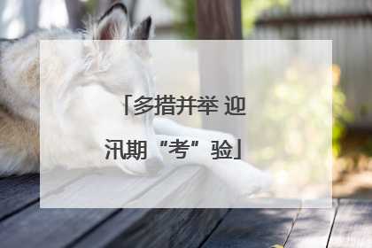 多措并举 迎汛期“考”验