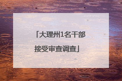 大理州1名干部接受审查调查