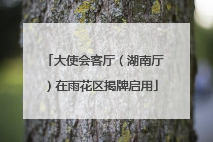 大使会客厅（湖南厅）在雨花区揭牌启用