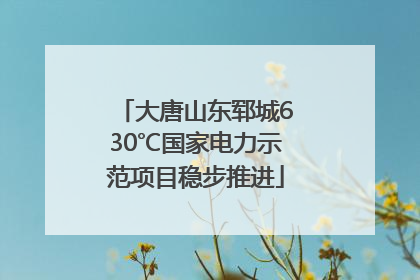 大唐山东郓城630℃国家电力示范项目稳步推进
