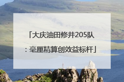 大庆油田修井205队：毫厘精算创效益标杆