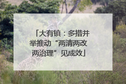 大有镇:多措并举推动“两清两改两治理”见成效