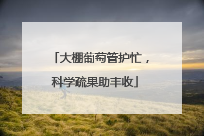 大棚葡萄管护忙，科学疏果助丰收