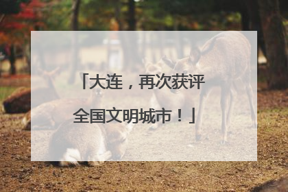 大连，再次获评全国文明城市！