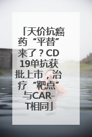天价抗癌药“平替”来了？CD19单抗获批上市，治疗“靶点”与CAR-T相同