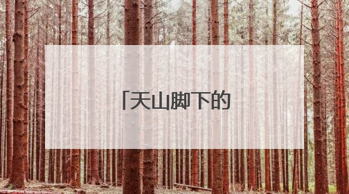 天山脚下的闽茶时光