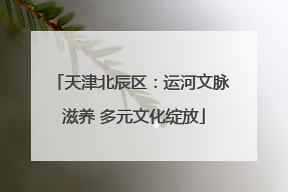 天津北辰区：运河文脉滋养 多元文化绽放
