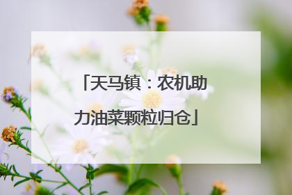 天马镇：农机助力油菜颗粒归仓