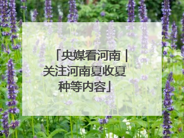 央媒看河南｜关注河南夏收夏种等内容